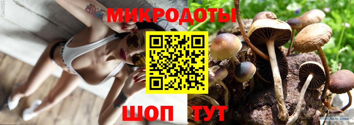 Электрогорск  Псилоцибиновые грибы мицелий  что такое наркотик  Вход с VPN 